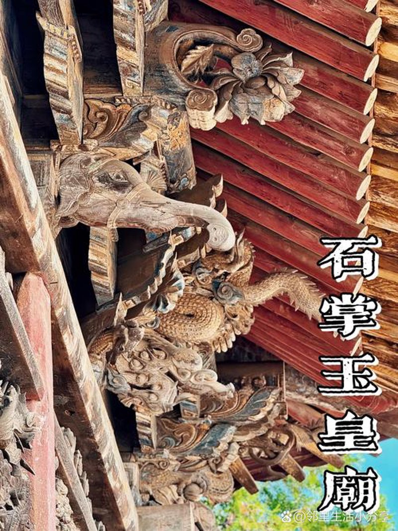 樟木箱